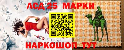 гашик Новодвинск