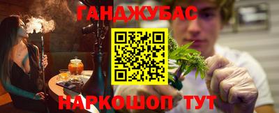 сатива Новозыбков