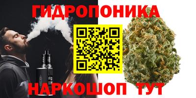 гашик Новодвинск