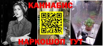 гашик Новодвинск