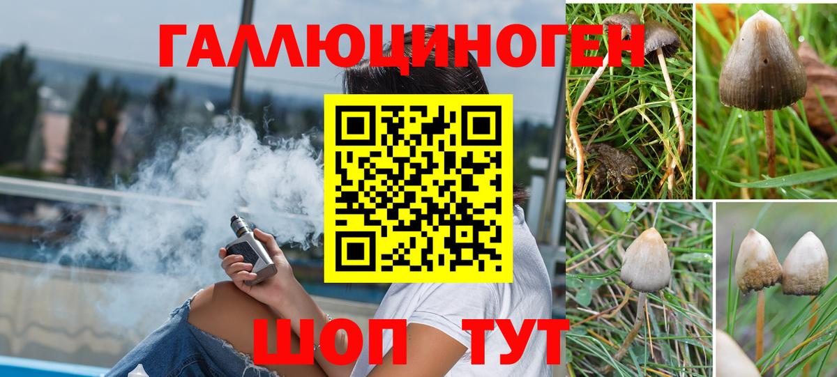 Галлюциногенные грибы прущие грибы Сочи