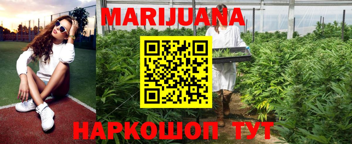Марихуана White Widow  Бошки марихуана OG Kush  Вход с VPN  Марихуана конопля  Каннабис индика  Сочи 
